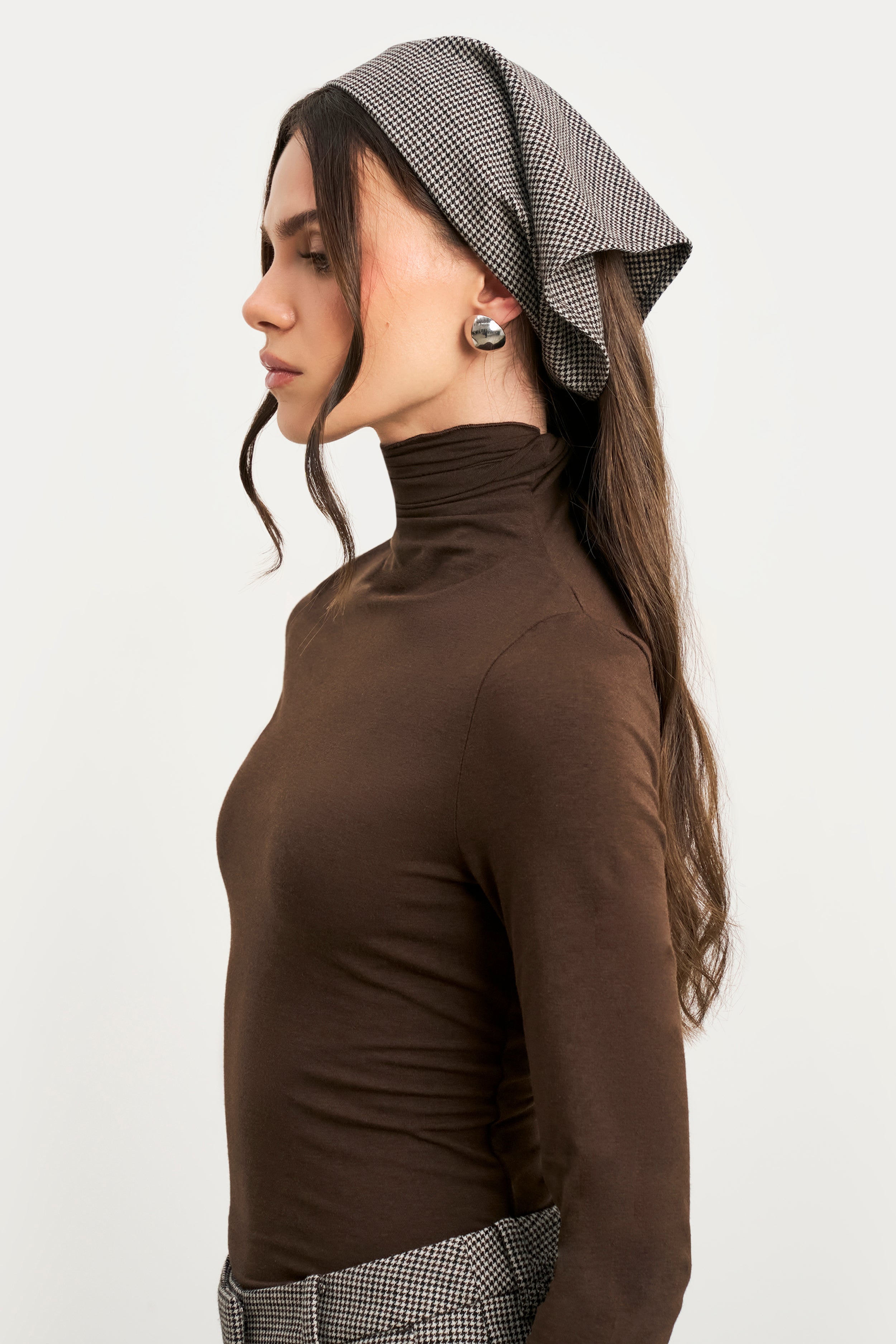 Semi Sheer High Neck Longsleeve Top - Carob