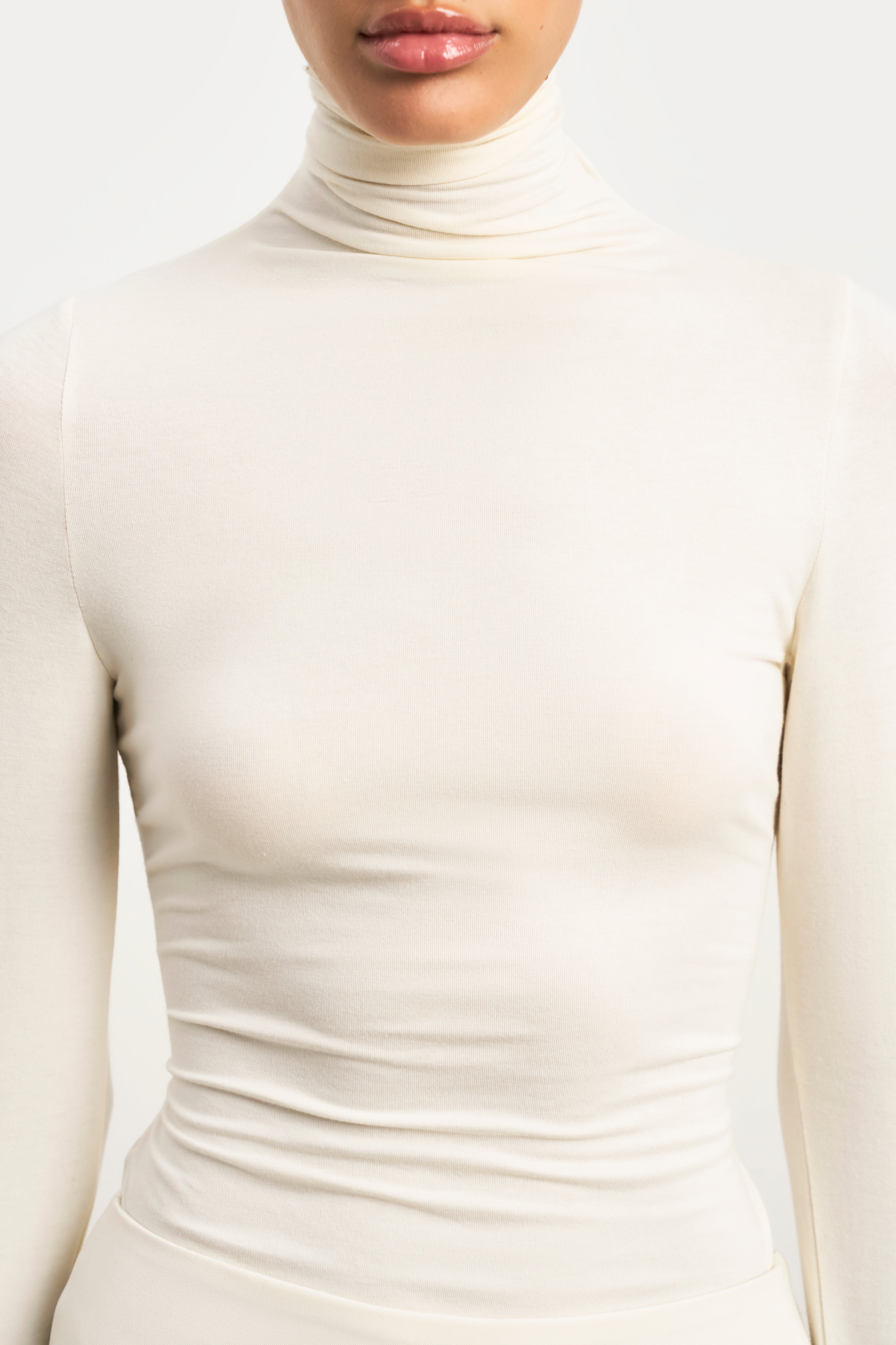 Semi Sheer High Neck Longsleeve Top - Cream