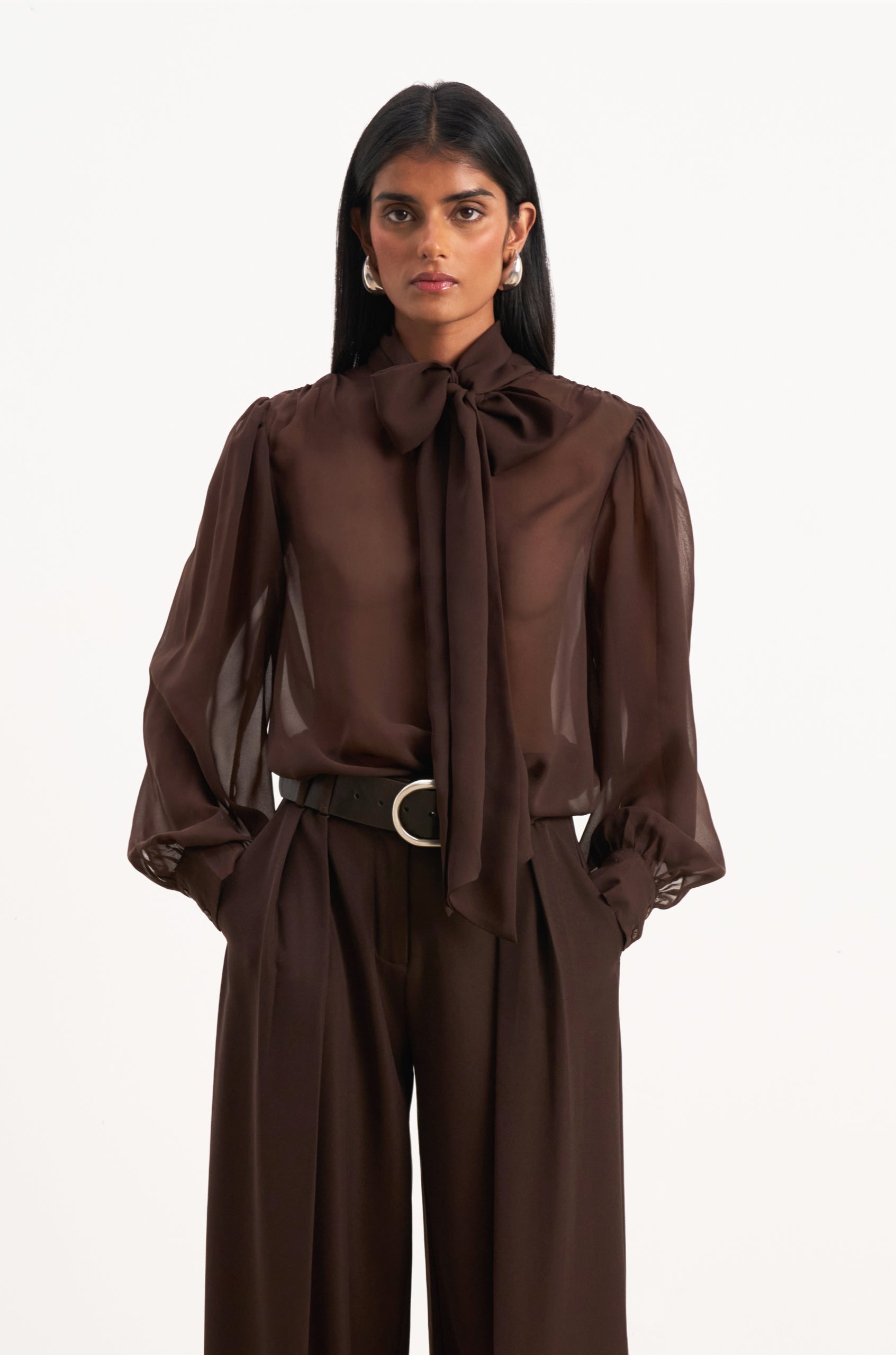 Sheer Chiffon Tie Neck Blouse - Carob