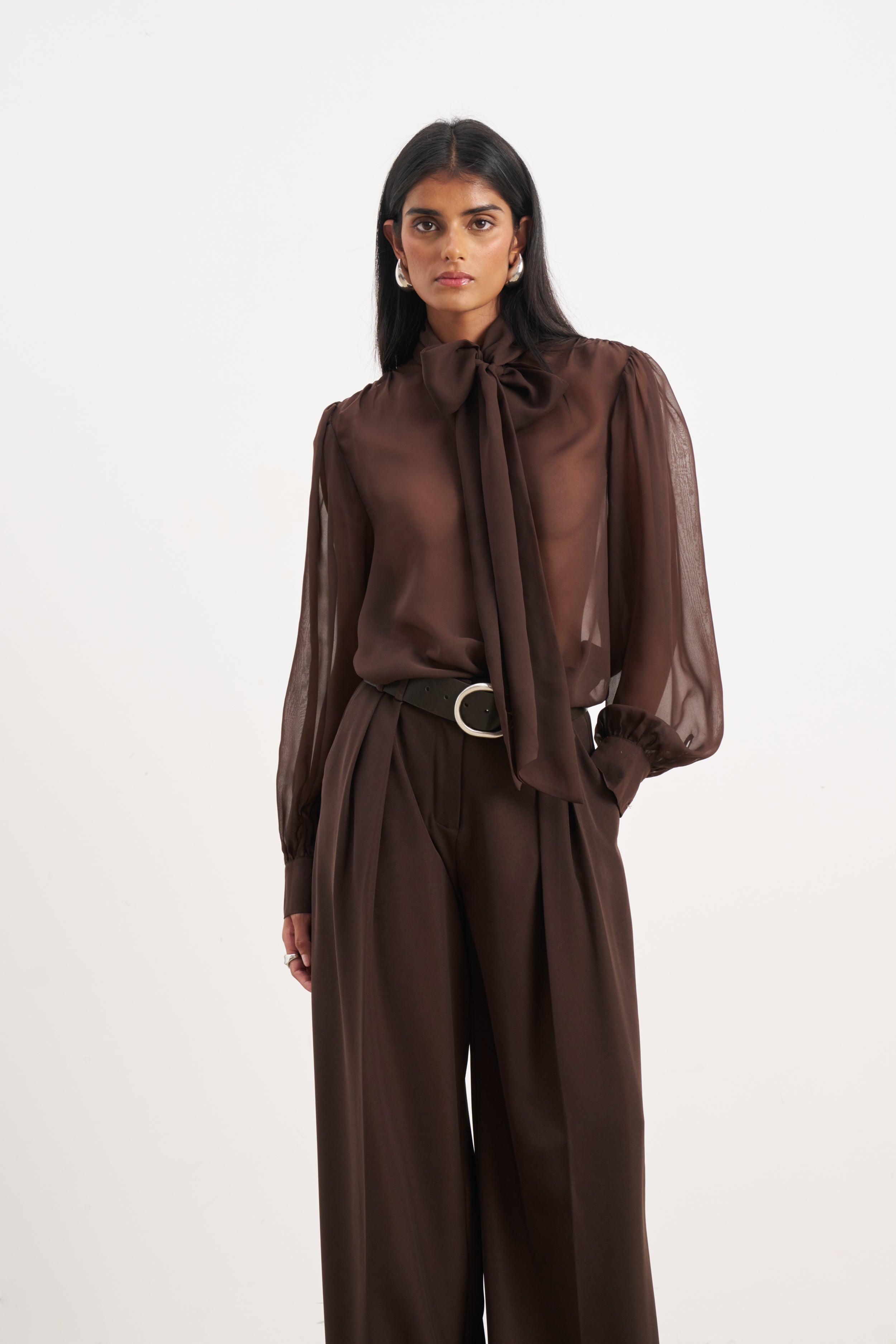 Sheer Chiffon Tie Neck Blouse - Carob