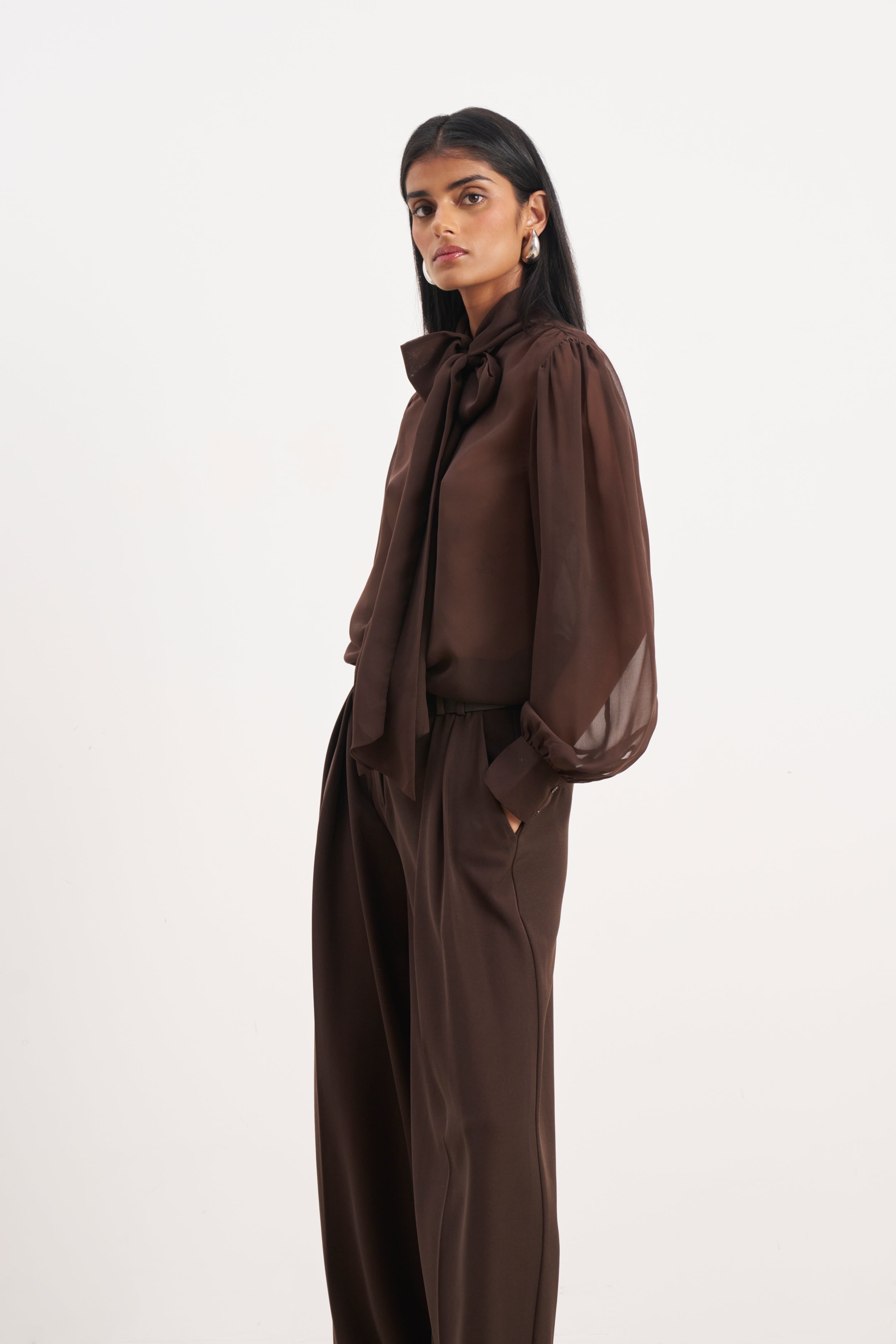 Sheer Chiffon Tie Neck Blouse - Carob