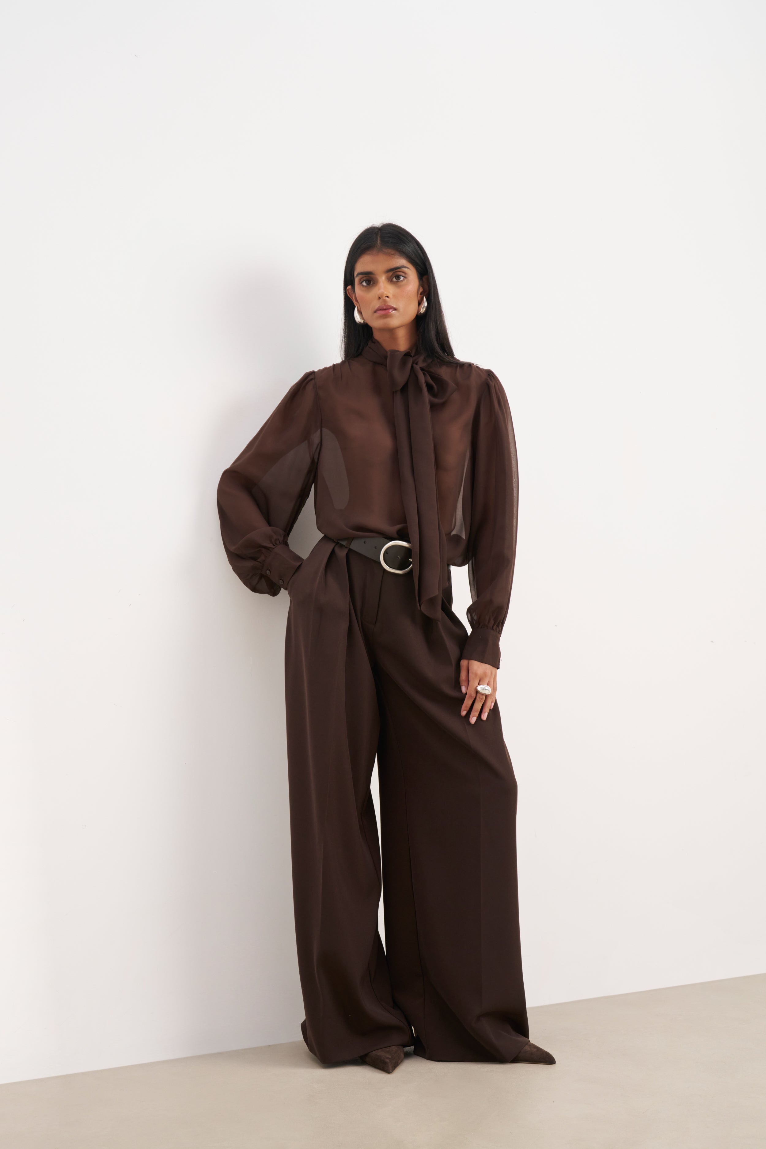 Sheer Chiffon Tie Neck Blouse - Carob